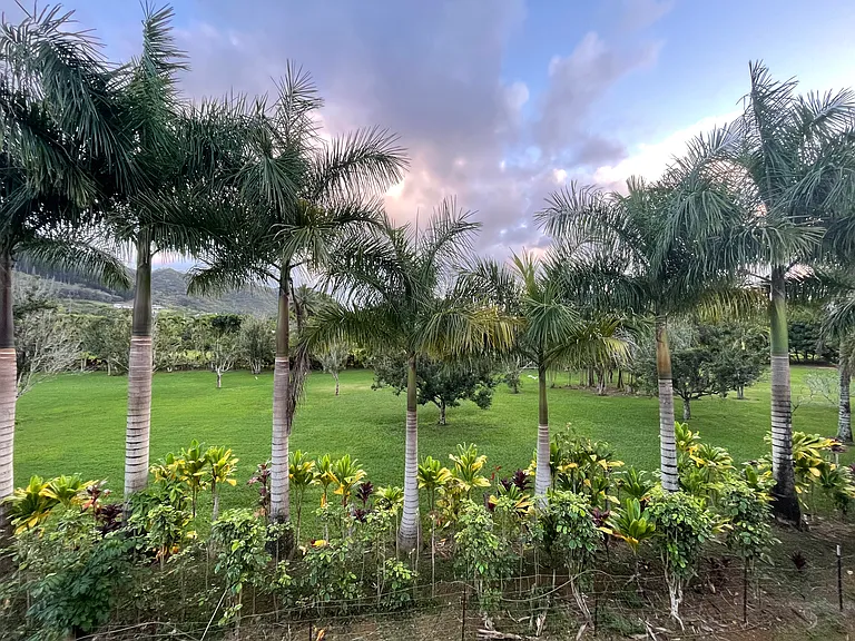 1301 Kamalu Rd #C — Photo 37