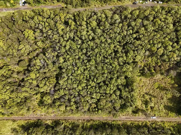 18-2317 Ola Kino Rd Lot 294, Volcano, HI 96785