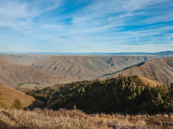 Boles Rd, Cottonwood, ID 83522