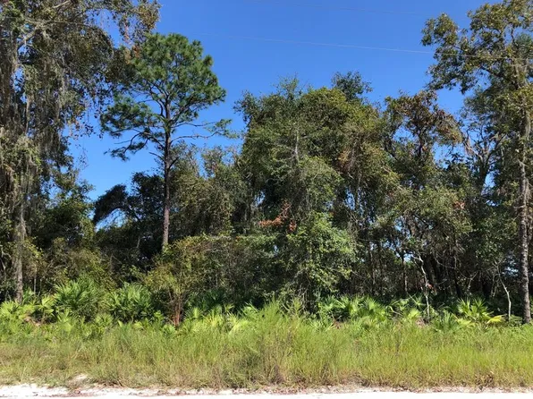 TBD NE 482nd Ave, Old Town, FL 32680