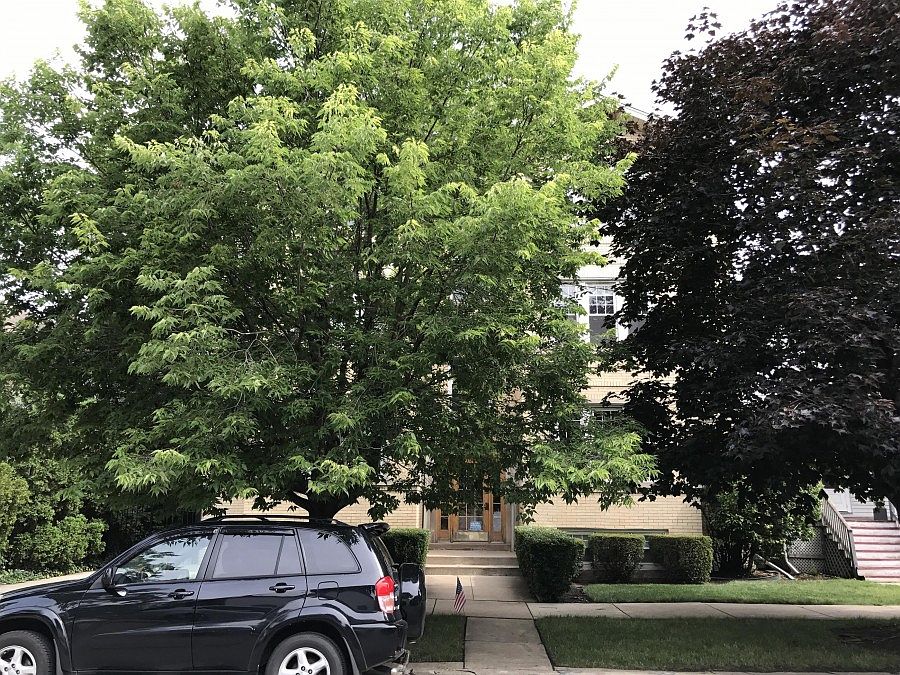 2nd image of 3912 W Byron St #3