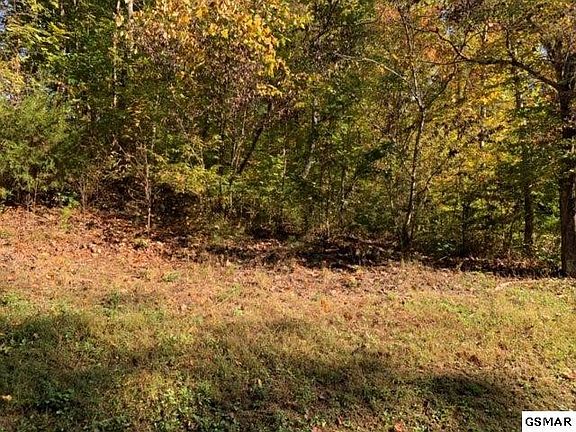 2nd image of 4 Leonard Huskey Ln Lot 4