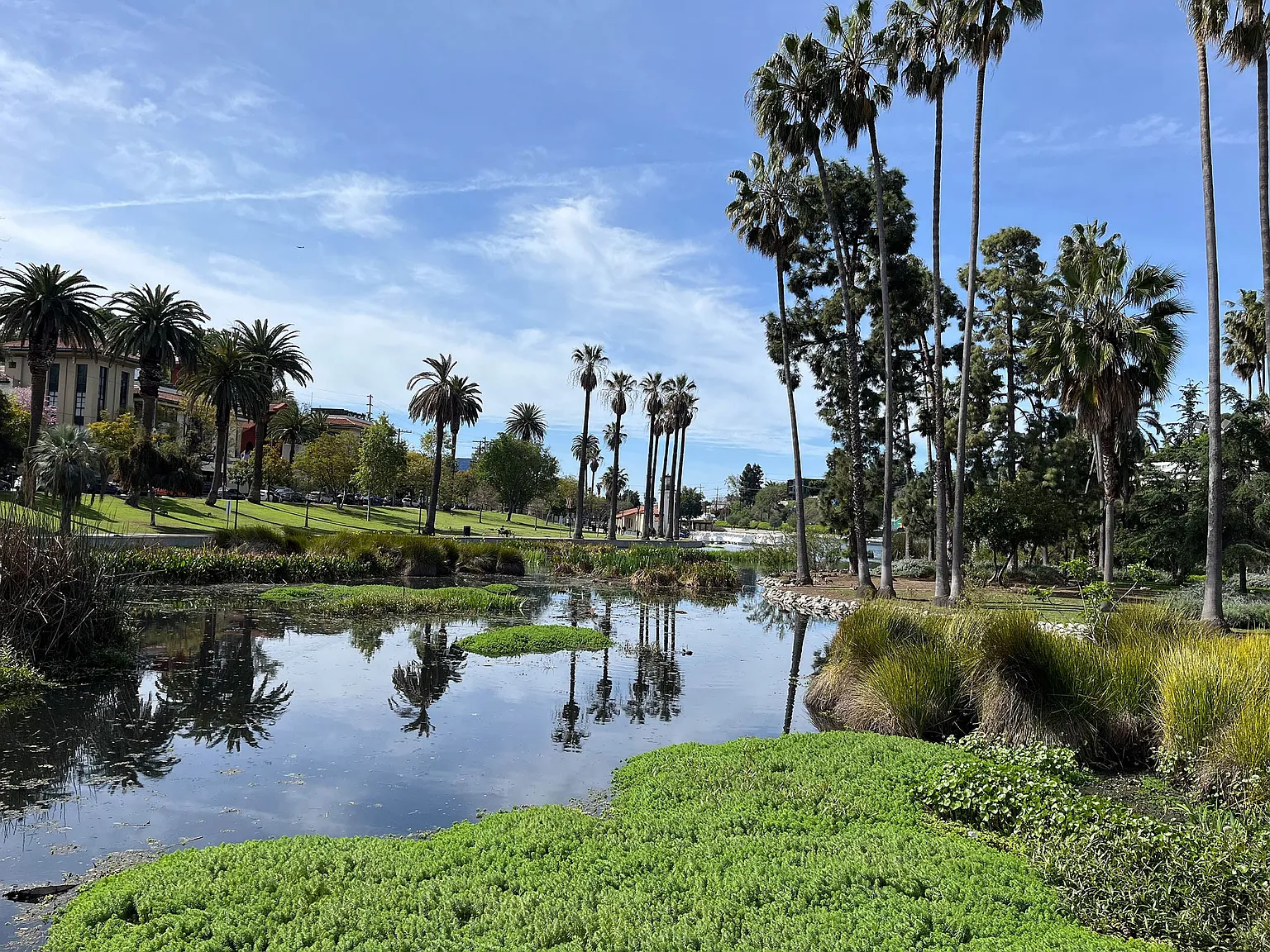 1915 Park — Photo 1