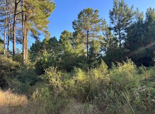 TRACT-12B Fm 230 LOT 12B, Lovelady, TX 75851