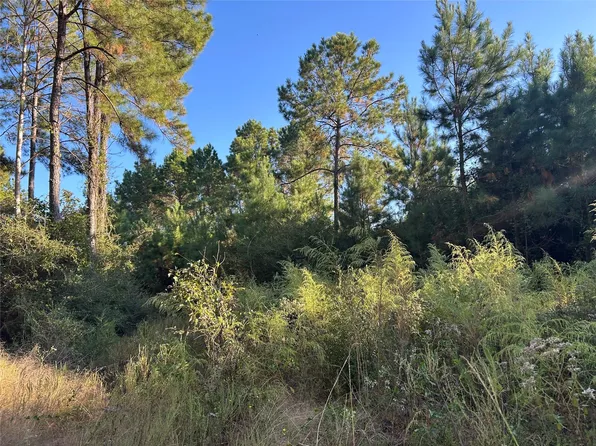 TRACT-12B Fm 230 Lot 12B, Lovelady, TX 75851