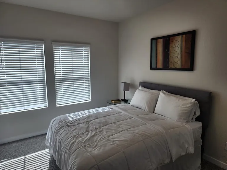 1520 Red Acer Dr — Photo 18