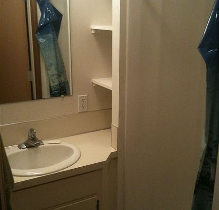 Lower Bathroom shower