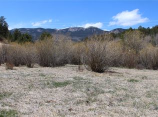 189 Moore St, Bailey, CO 80421