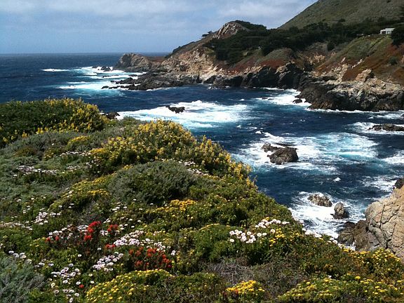 View from living room