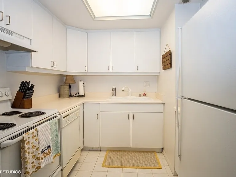 40 E Delaware Pl #705 — Photo 9