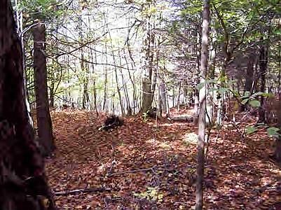 2nd image of W Birch Dr