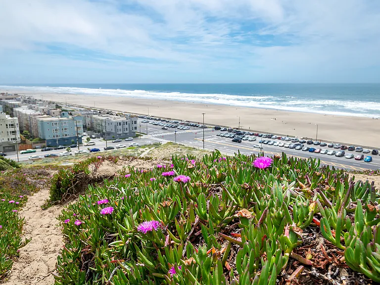 Live the ideal balance of urban convenience and coastal charm at The Tides.