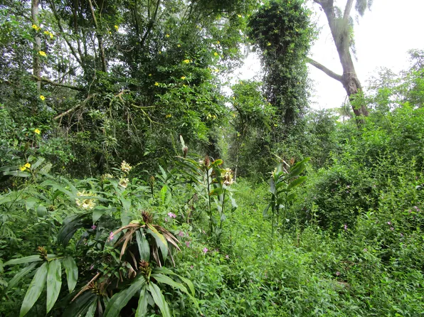 Niihau Rd Lot 732-734, Pahoa, HI 96778