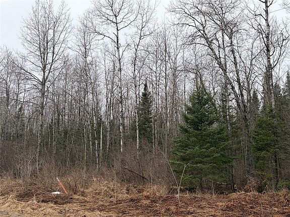 2nd image of ON Old Couderay Road