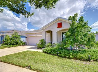 15371 Caravan Ave, Odessa, FL 33556