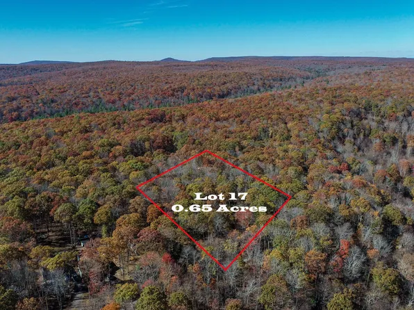 17 Birchwood Dr, Oakland, MD 21550