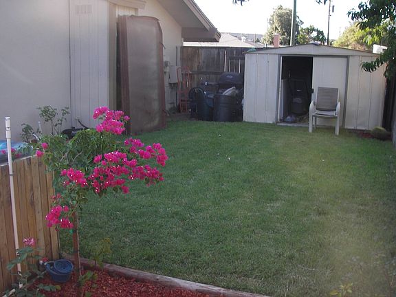 Lawn, storage shed, and front gate (leads to Rialto Ave)