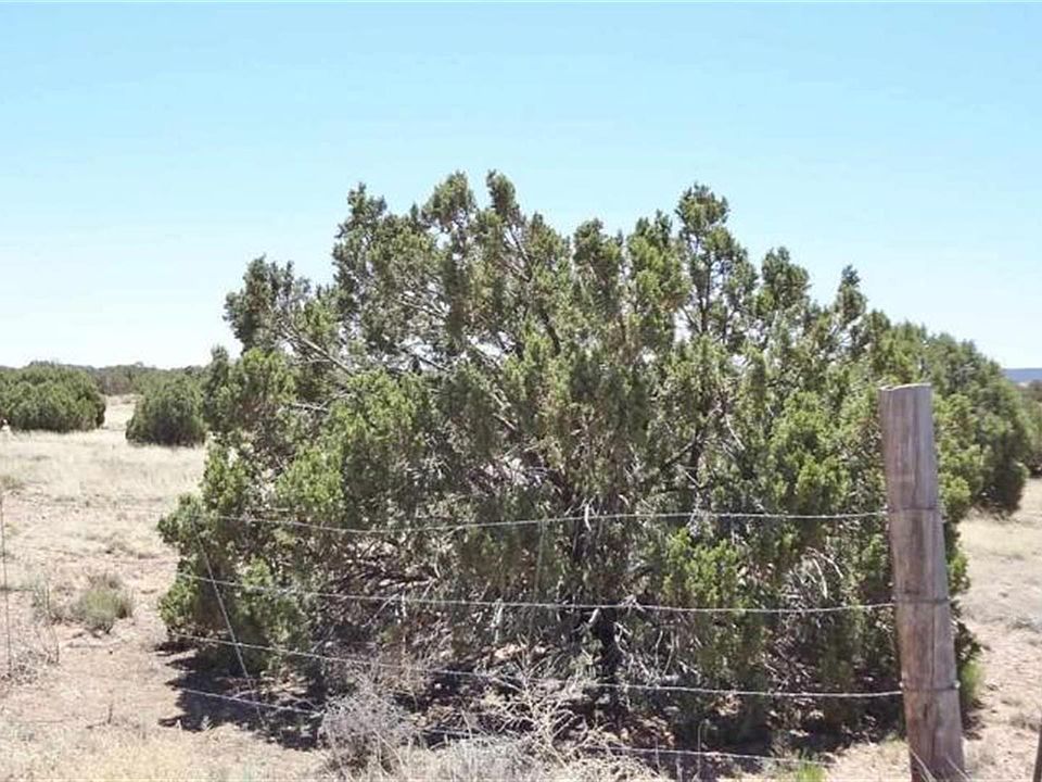 1st image of 4498 S Pinto Rd