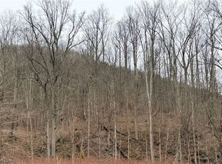 Mountaineer Hwy, New Martinsville, WV 26155