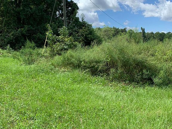 5th image of 1486 Ochella Creek Ct