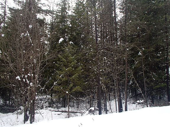 5th image of Nna 288 W Coeur D' Alene