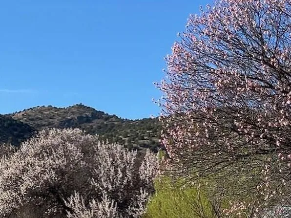137 White Cat Rd, San Patricio, NM 88348