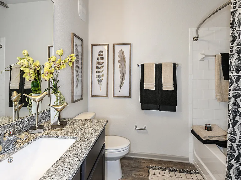 Dunedin Commons Apartments — Photo 13
