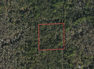 Underhill Branch Rd, Osteen, FL 32764