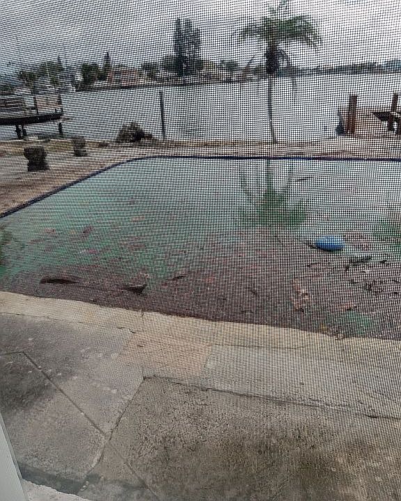 After the hurricane