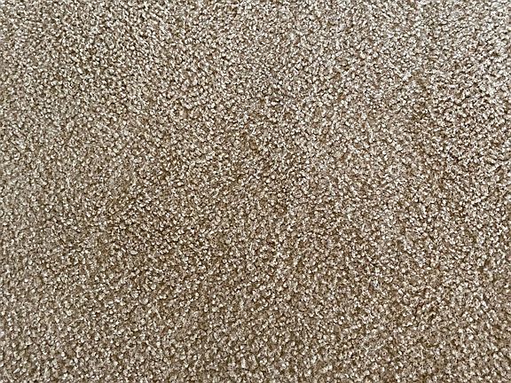 Carpet: neutral color. Freshly steam cleaned.