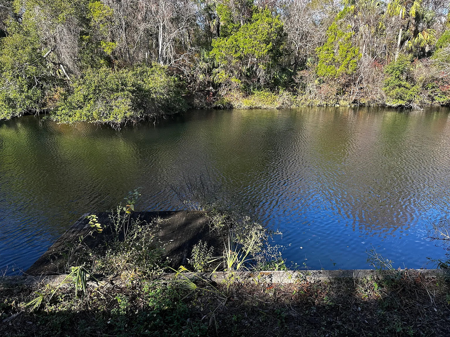 2 bed, 1681 sqft, $2,200 — Photo 4