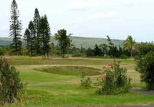 2nd image of Kahiki And Haehae Lot 414