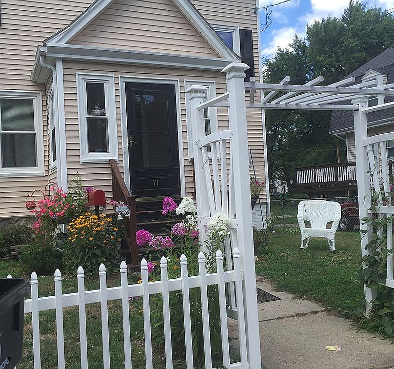 Established flower/shrubs 