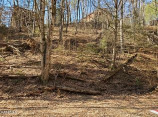 N Spring Hollow Ct, Sevierville, TN 37876