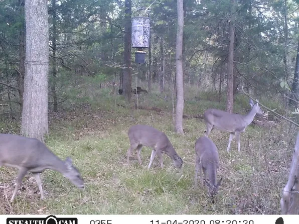 963 Rs County Rd, Pt, TX 75472