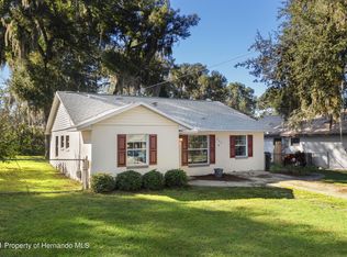 392 County Road 487, Lake Panasoffkee, FL 33538