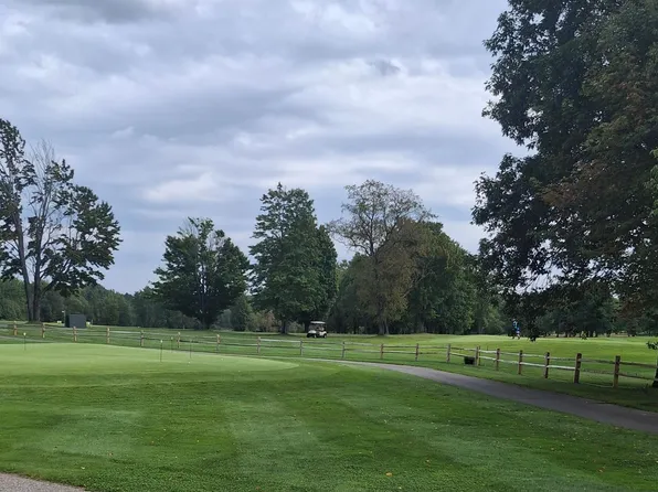 Land 185 Pineview Dr, Mancelona, MI 49659