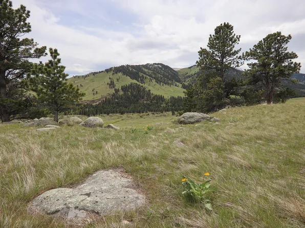 13 Old Antlers Way, Buffalo, WY 82834