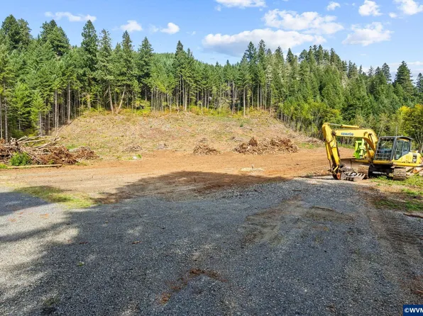 44829 Quartzville Dr, Foster, OR 97345
