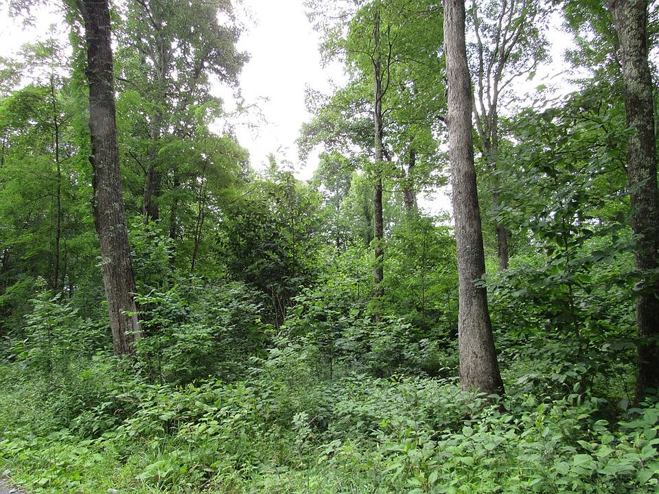 0 Ellison Ridge Rd, Flat Top, WV 25841 Zillow