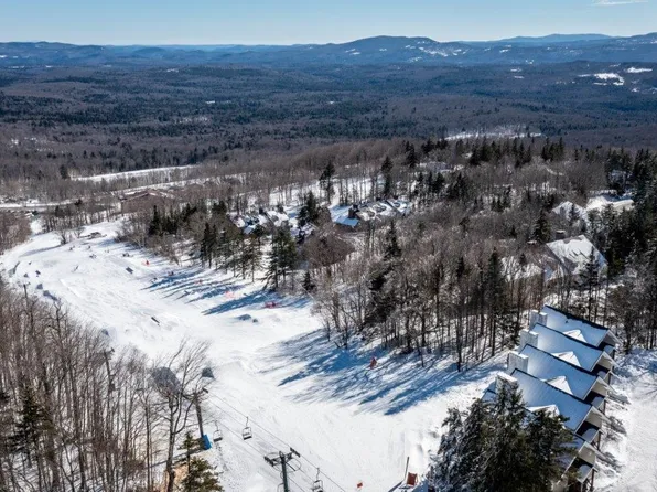 38 Farm Road #5, Peru, VT 05152