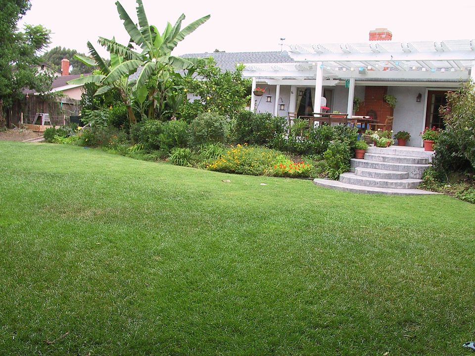 West Patio and Private Large Back Yard