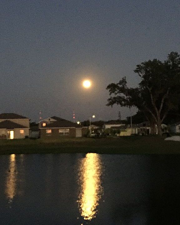 Moonrise view over lake