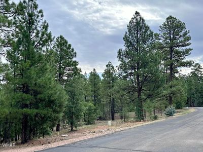 4500 W Foxglove Ln, Show Low, AZ, 85901