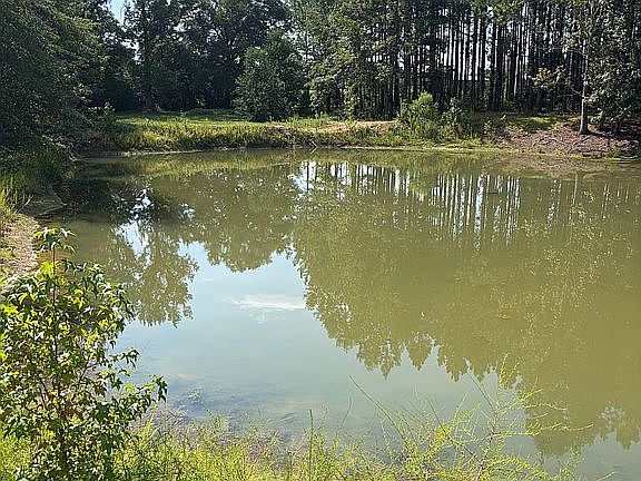 5th image of 197 Longstreet Rd