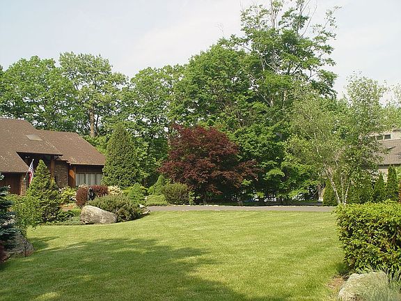 Front lawn form road side
