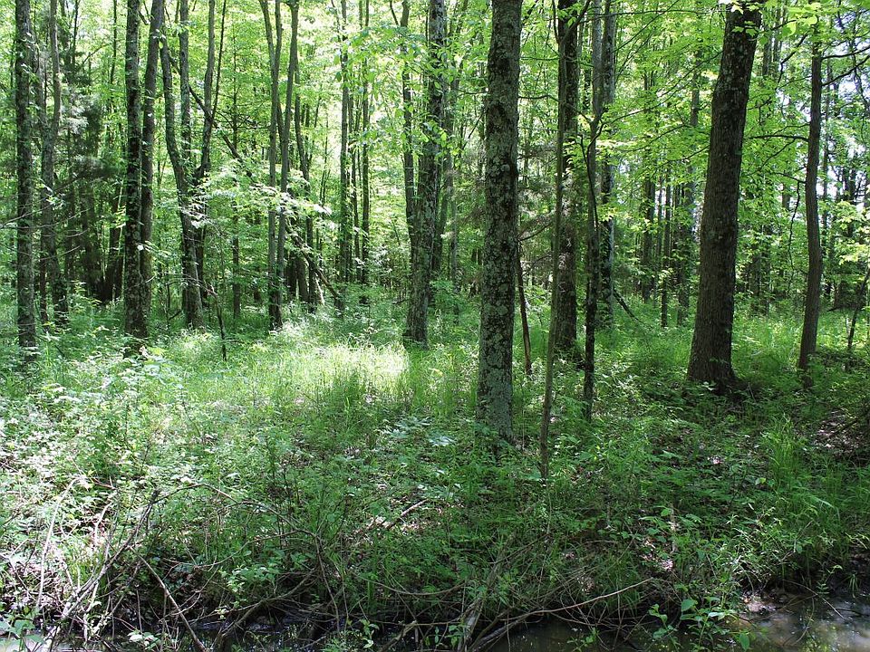 1st image of 3063 Us Highway 50 Lot Wp0001