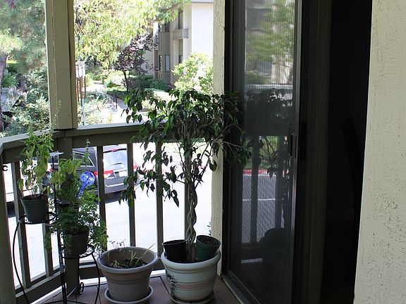 5th image of 1902 Miraplaza Ct APT 29