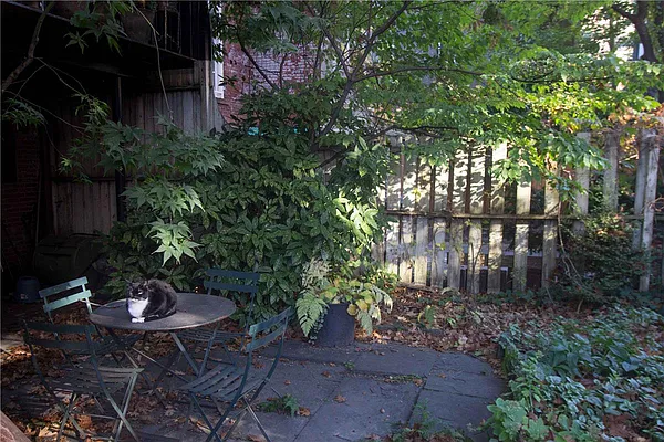 Rented by Maz Group NY | media 21