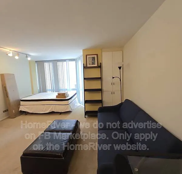 21 W Goethe St #4E — Photo 5